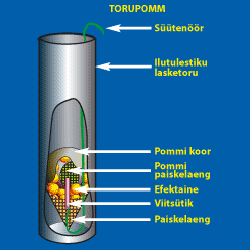 Toru Pomm